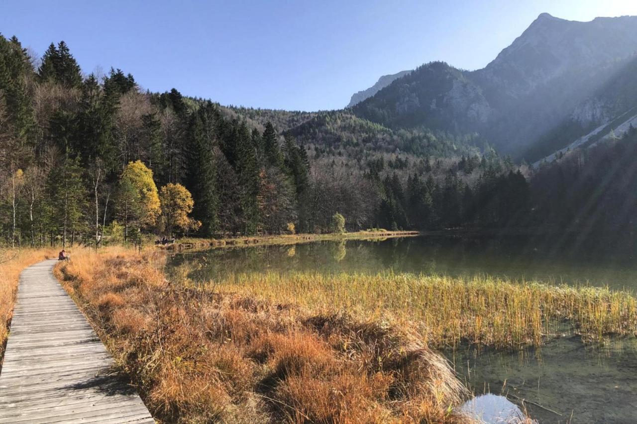 Bergchalet Falkenstein, Инцел Екстериор снимка