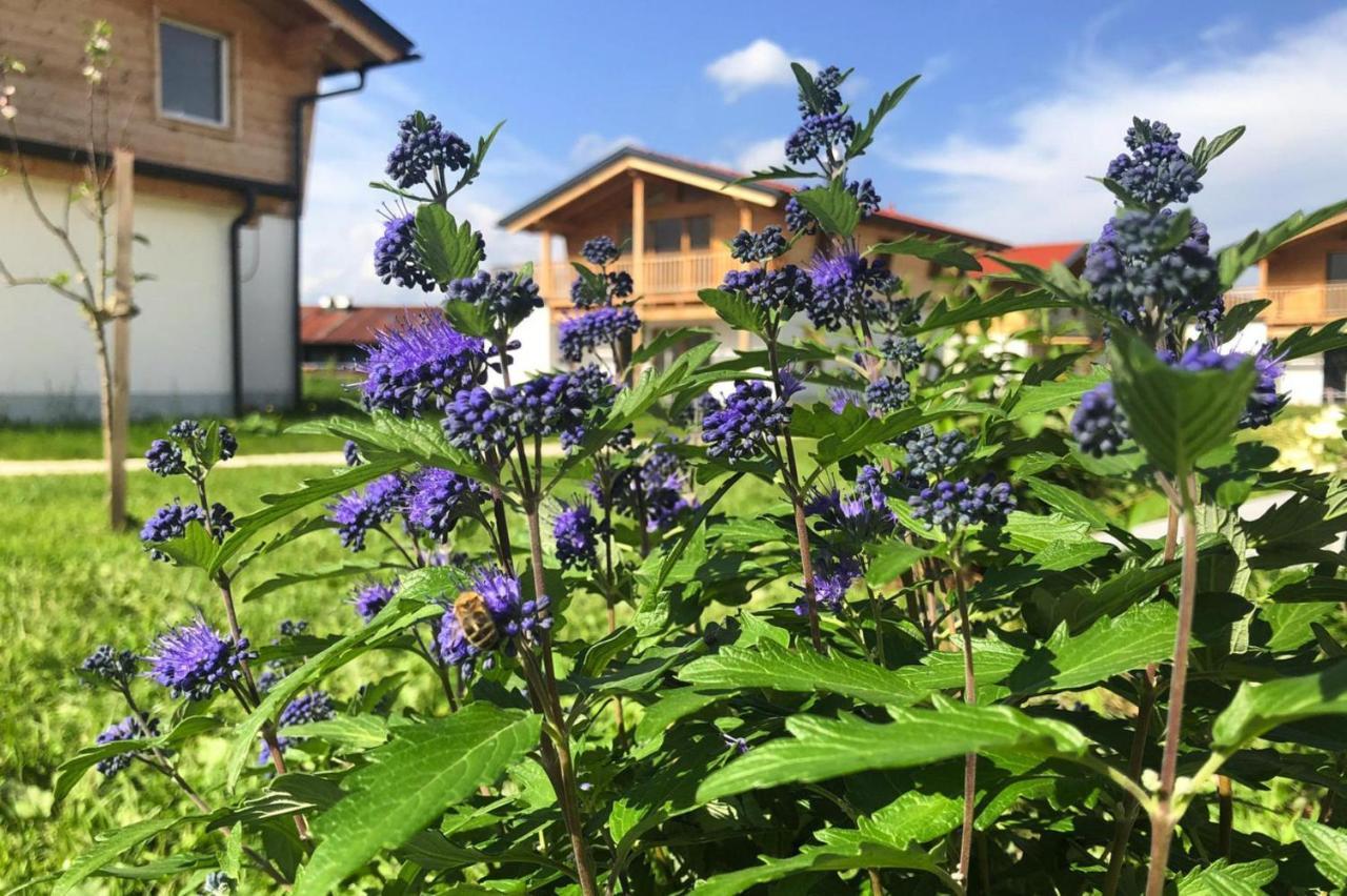 Bergchalet Falkenstein, Инцел Екстериор снимка