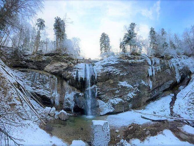 Bergchalet Falkenstein, Инцел Екстериор снимка